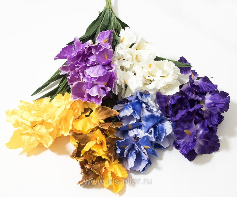 Букет ирис 7г