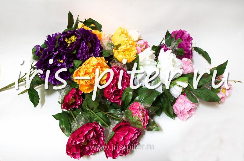 Букет пион 5г 