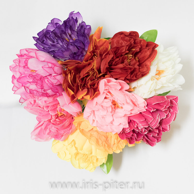 Букет пион 6г