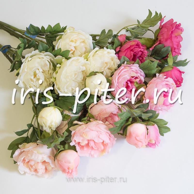 Ветка пиона 2г 1бут 