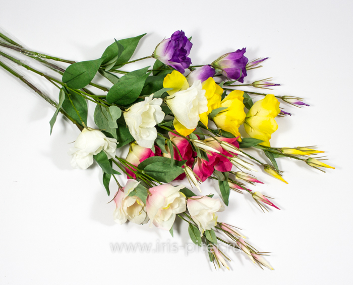 Ветка Эустома