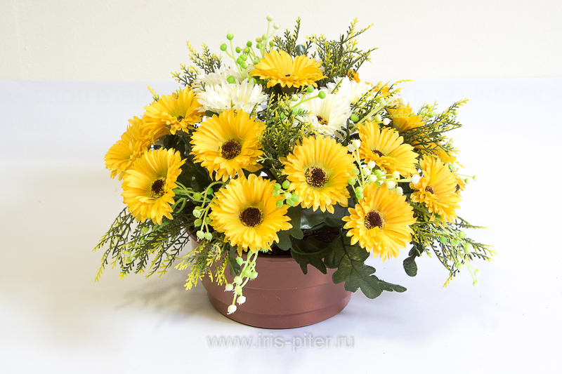 Вазон с герберой 