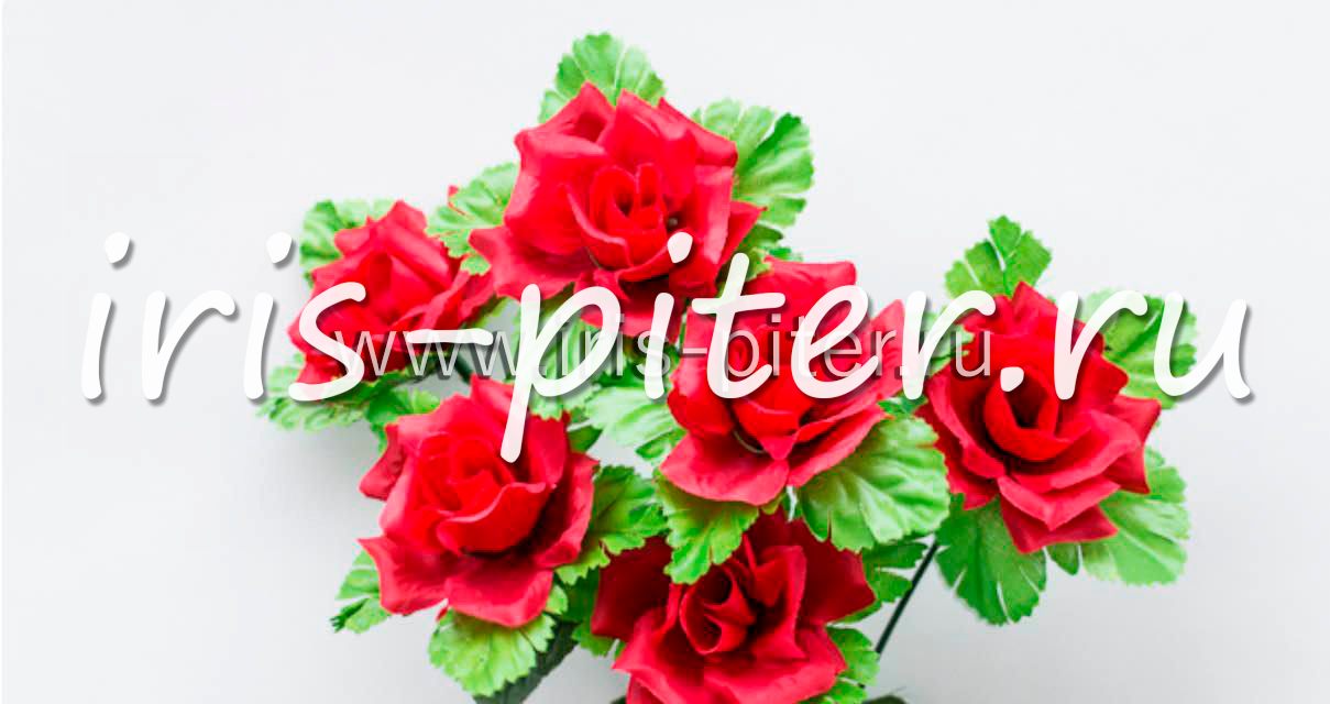 Букет роза 6г раскрытая с зеленью