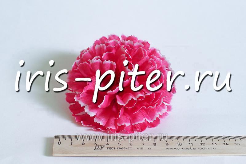 Голова гвоздика средняя