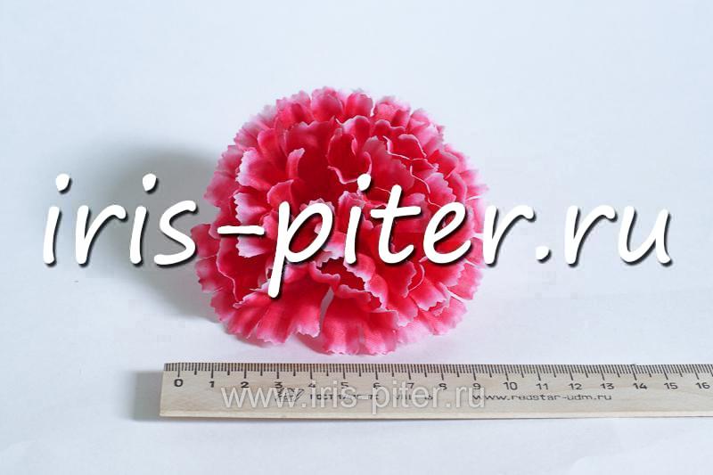 Голова гвоздика средняя