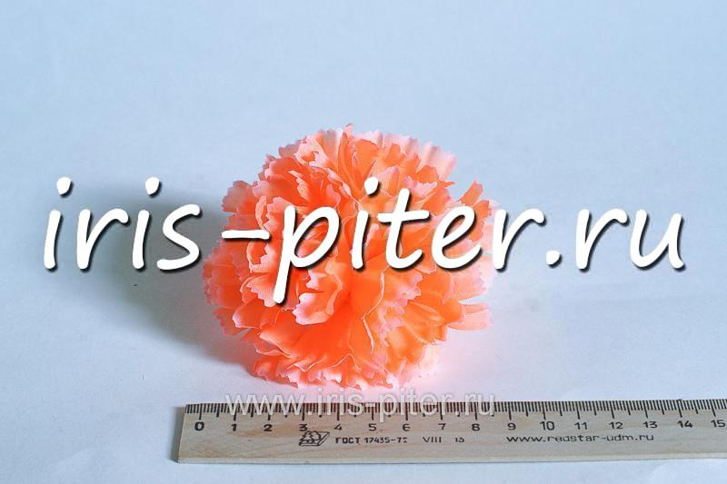 Голова гвоздика средняя