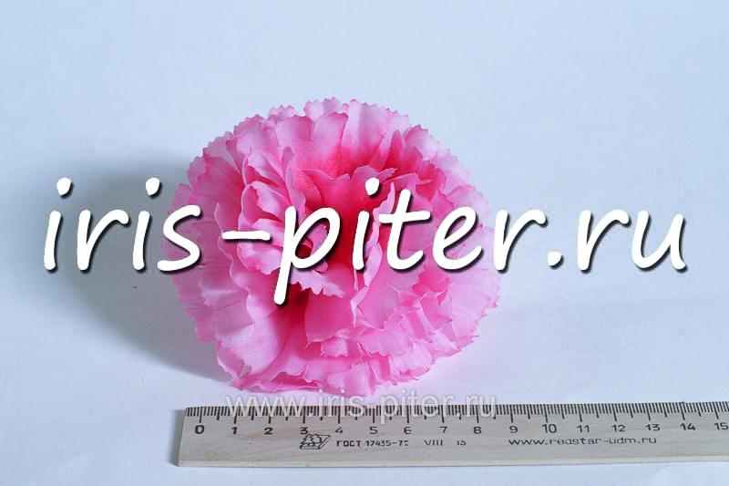 Голова гвоздика средняя
