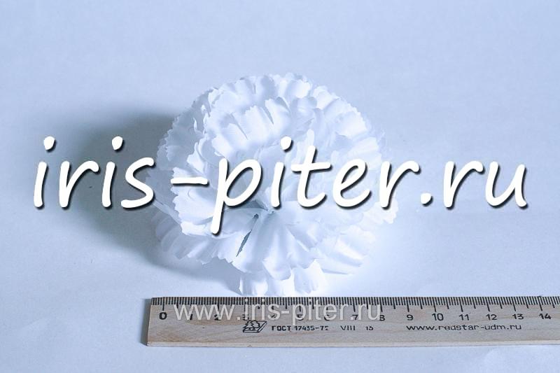 Голова гвоздика средняя