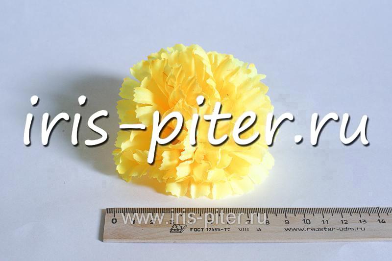 Голова гвоздика средняя