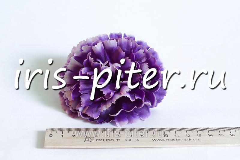 Голова гвоздика средняя