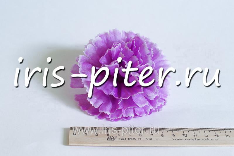 Голова гвоздика средняя