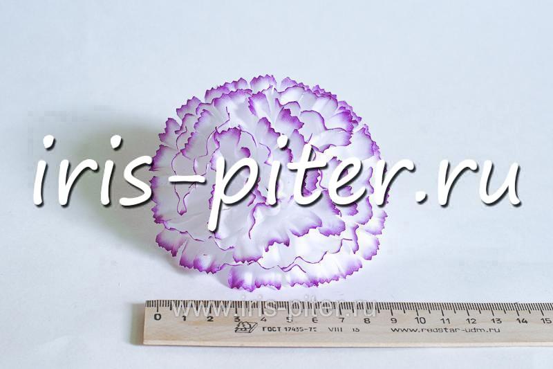 Голова гвоздика средняя