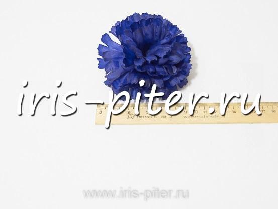 Голова гвоздика средняя