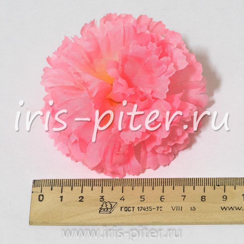 Голова гвоздики малой