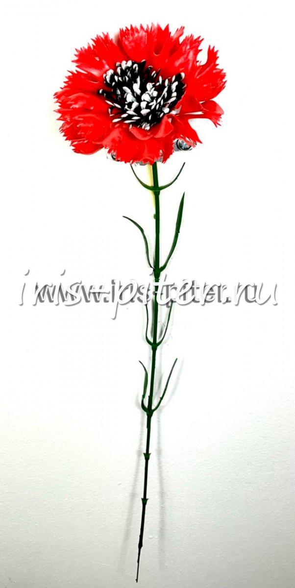 Мак одиночный