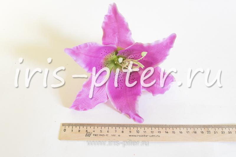 Голова лилии бархатной