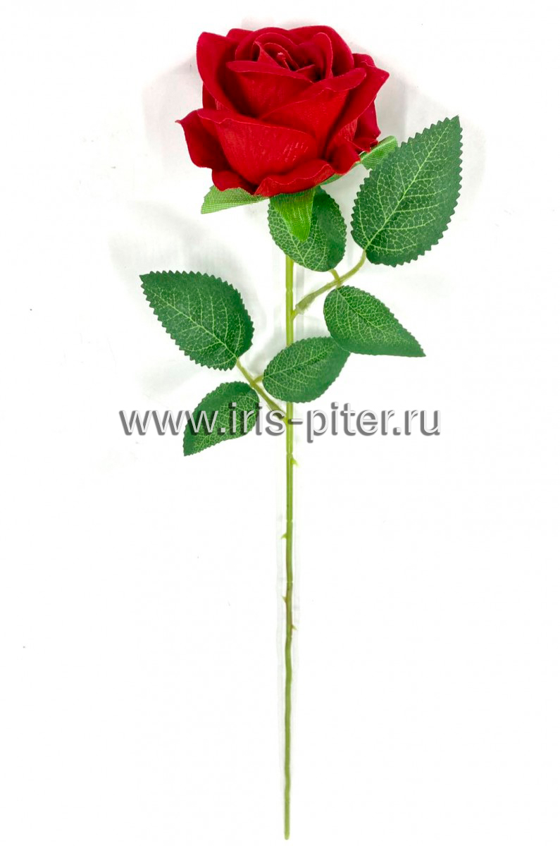 Роза одиночная бархатная