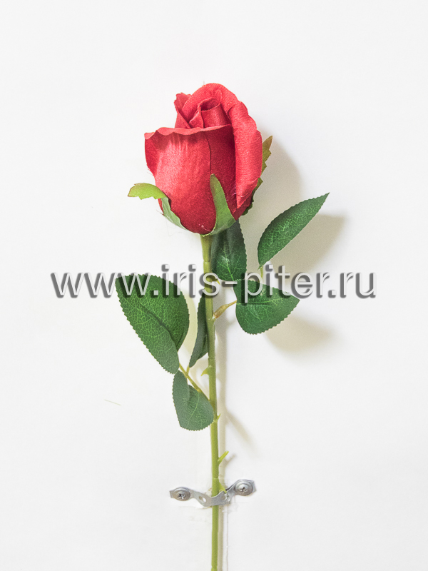 Роза бутон одиночная