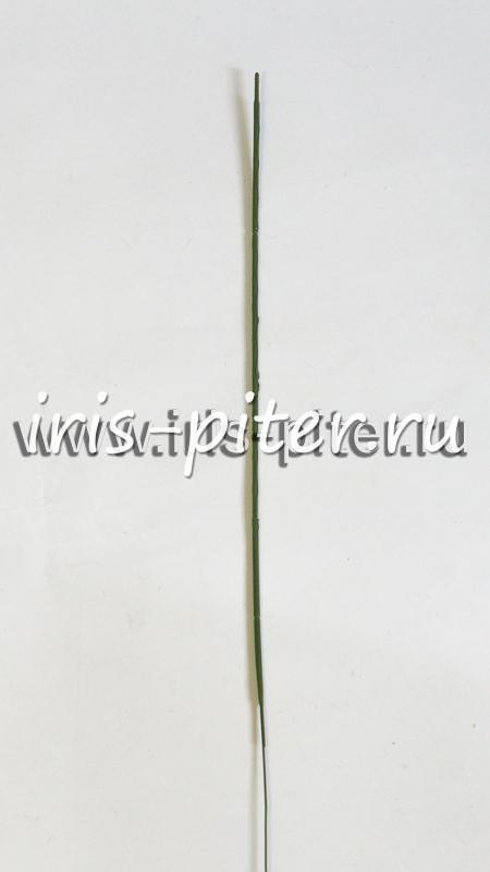 Ножка без листьев 