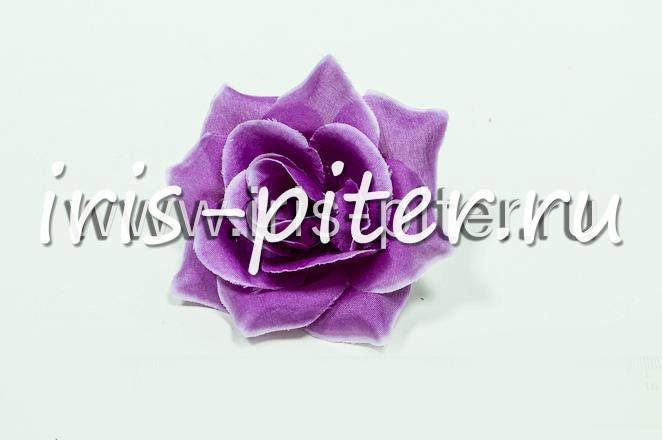 Голова розы "Маленькая леди"