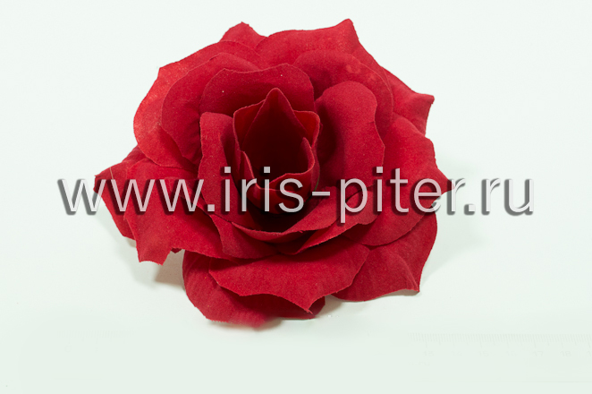 Голова розы бархатной