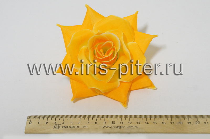 Голова розы «Стелла»