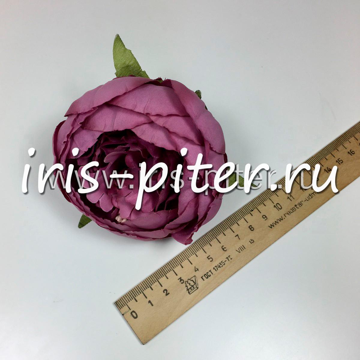 голова пион флористический