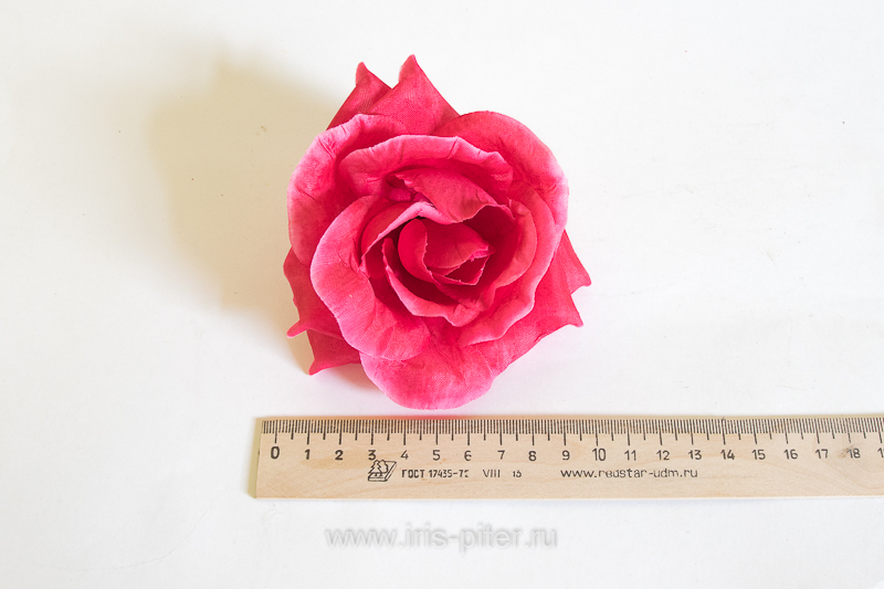 Голова розы "Лола"