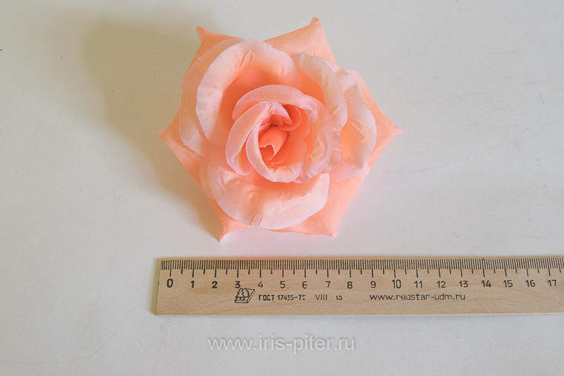 Голова розы "Лола"