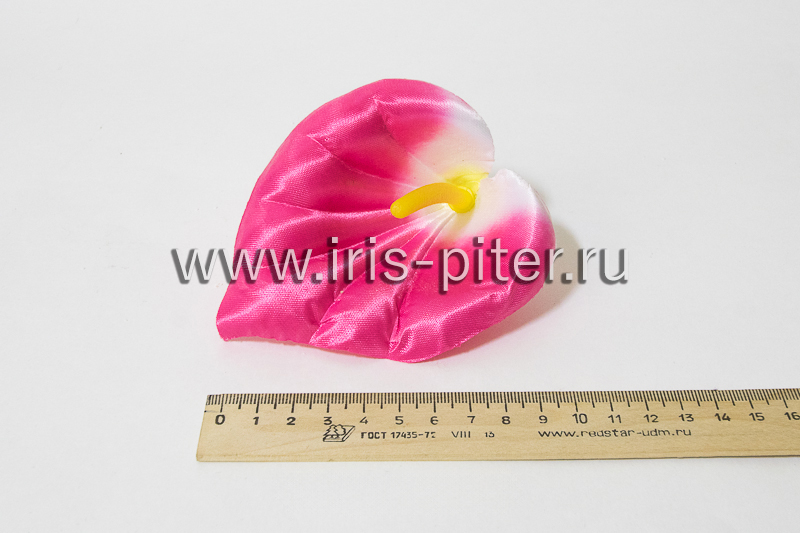 Голова калла атласная