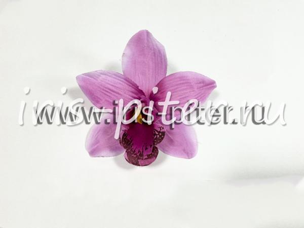 Голова орхидеи