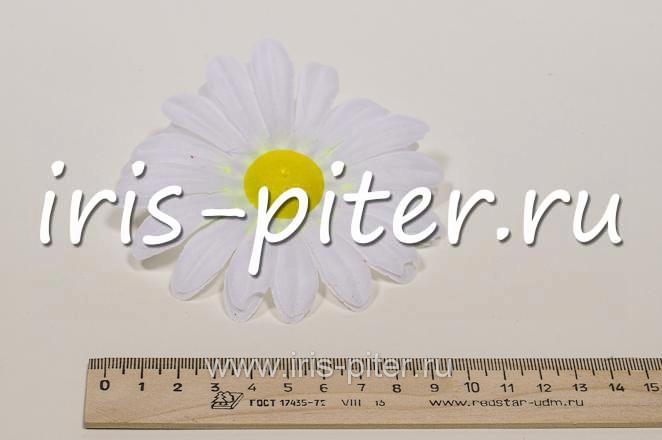 Голова ромашки малой