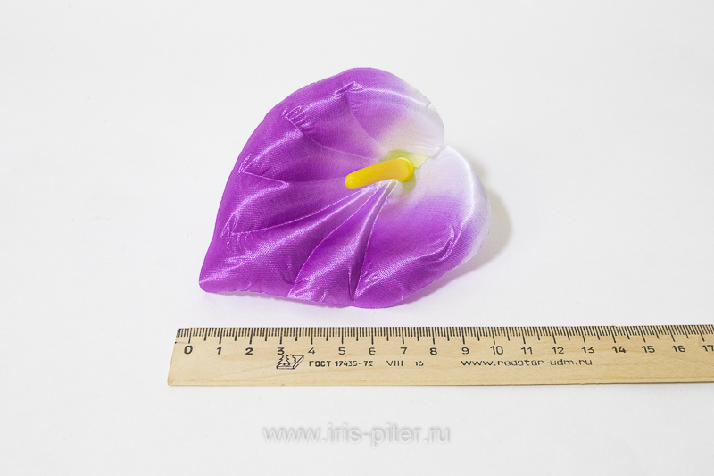 Голова калла атласная