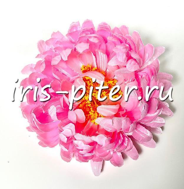 Голова хризантемы садовой