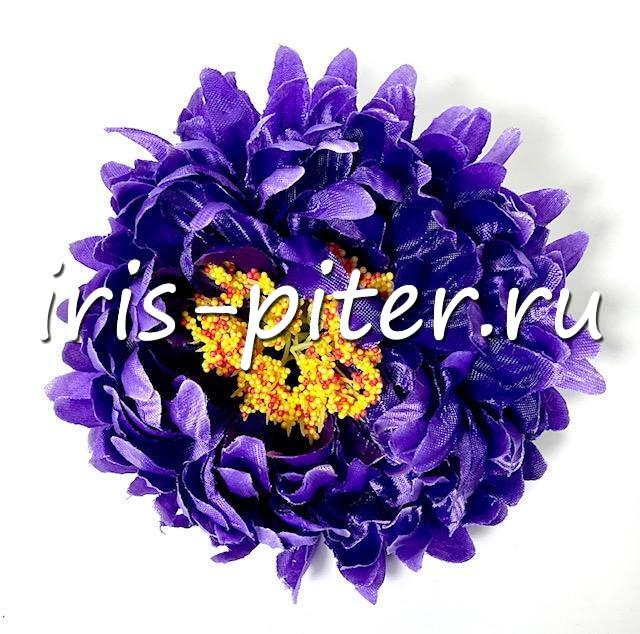 Голова хризантемы садовой