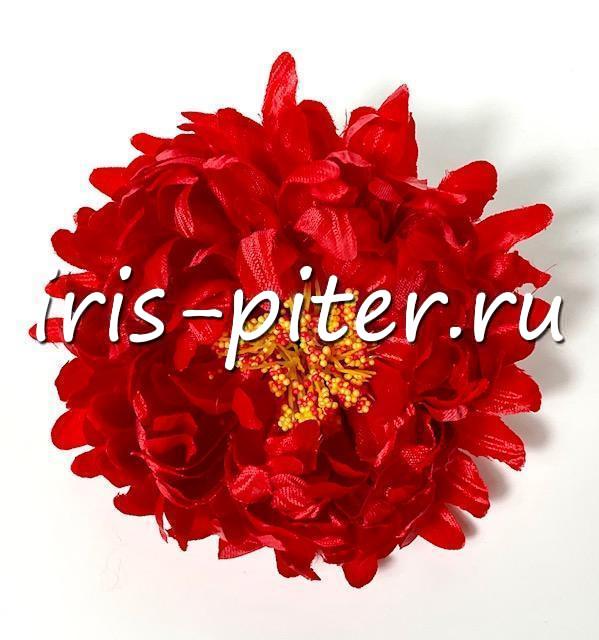 Голова хризантемы садовой