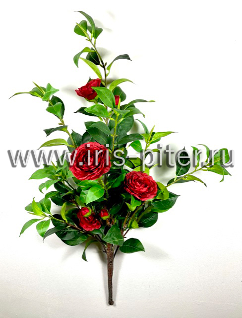 Дерево камелия маленькая красная