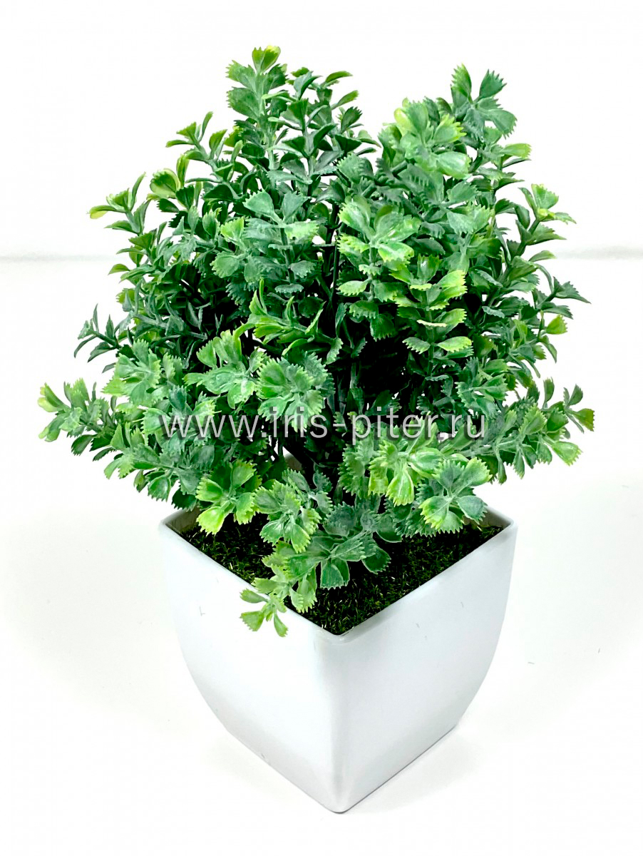 Галлиум в горшке