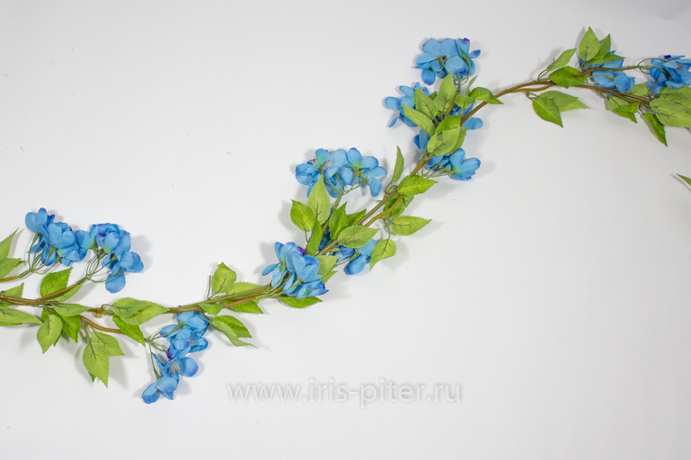 Лиана яблоня