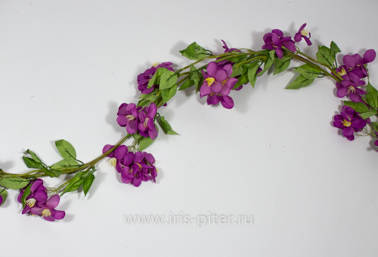 Лиана яблоня