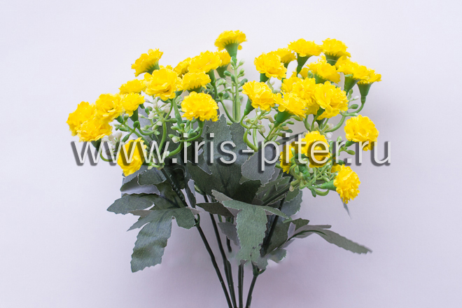 Букет каланхоэ 30г