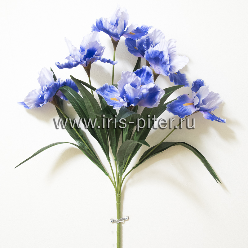 Букет ирис 7г