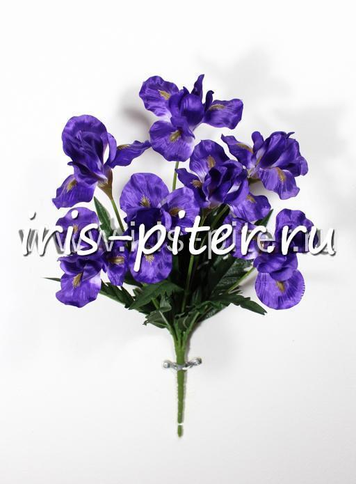 Букет ирис 7г
