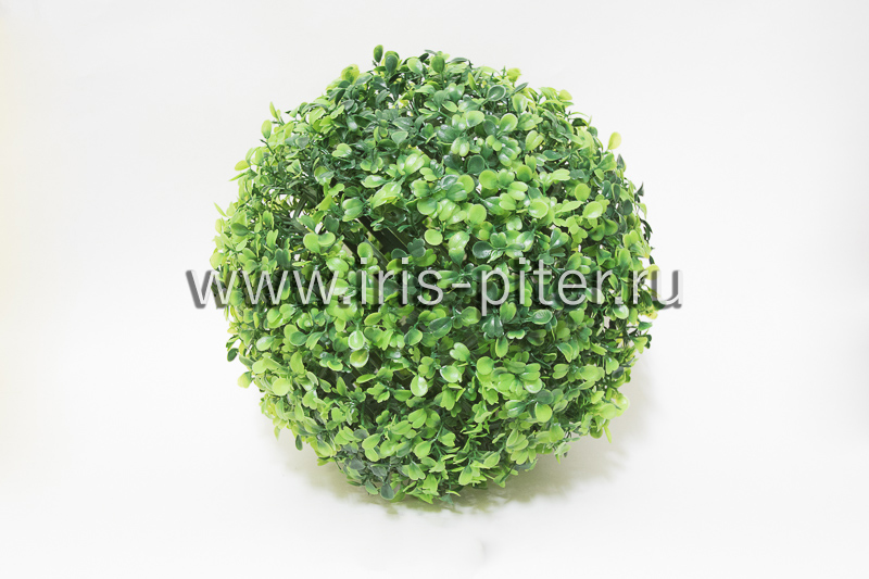 Шар самшитовый d22