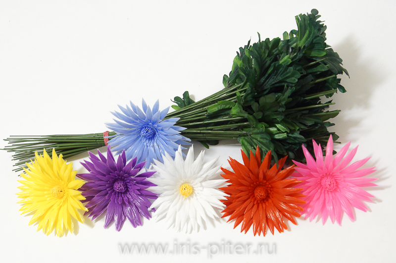 Астра одиночная сборная 