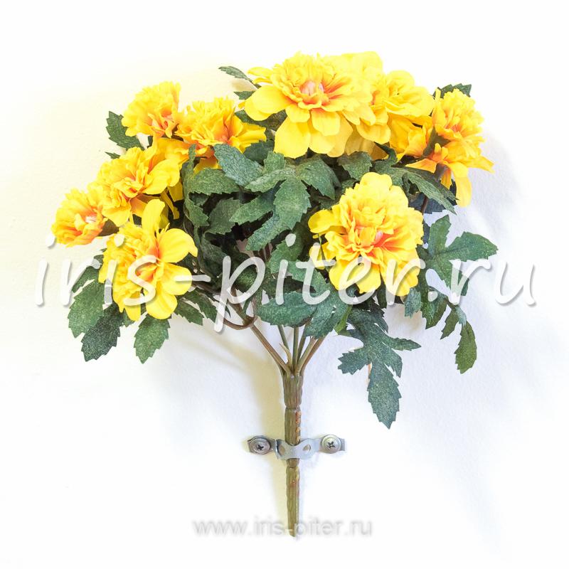 Бархатцы горшечные маленькие