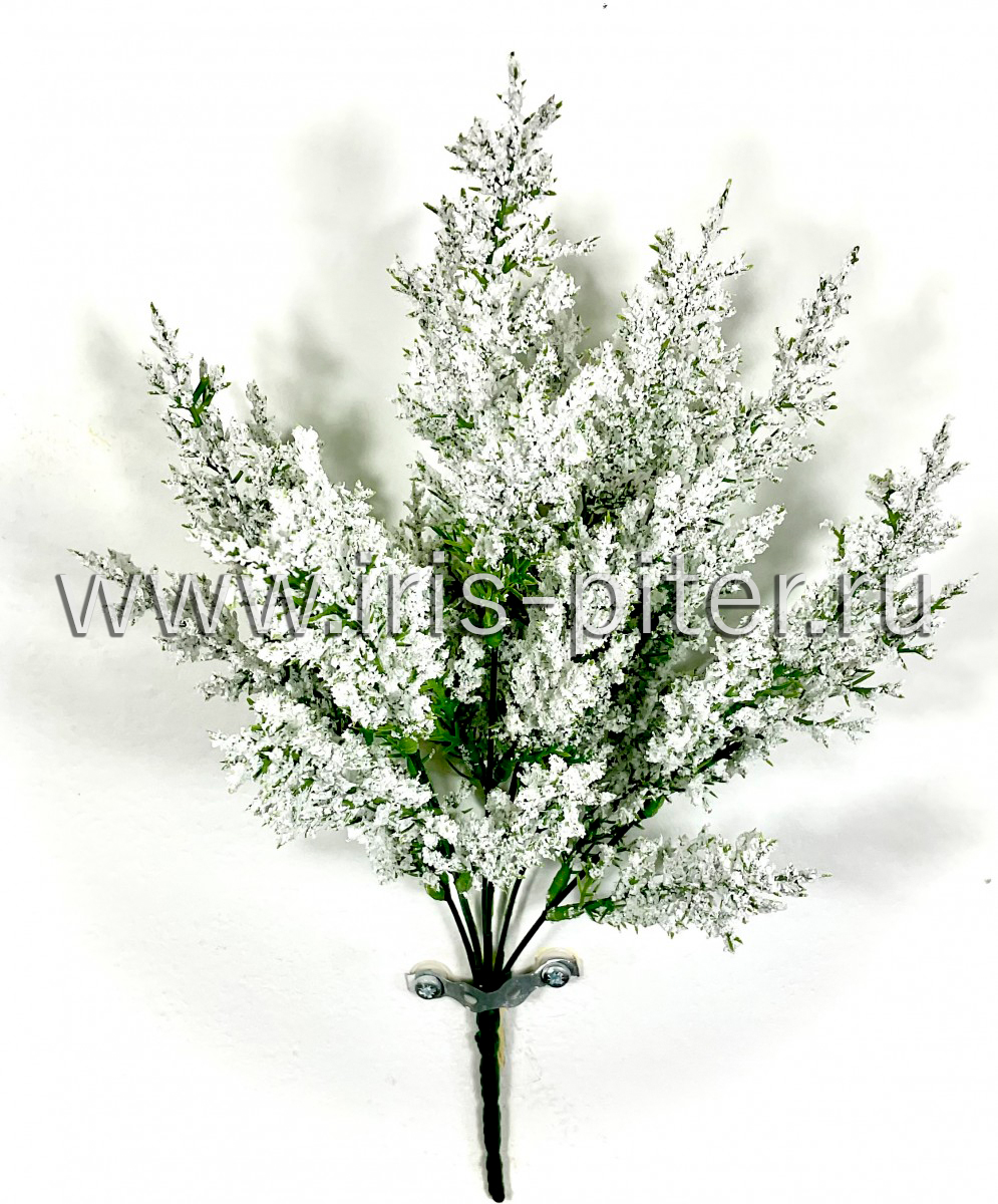 Ветка заснеженная 