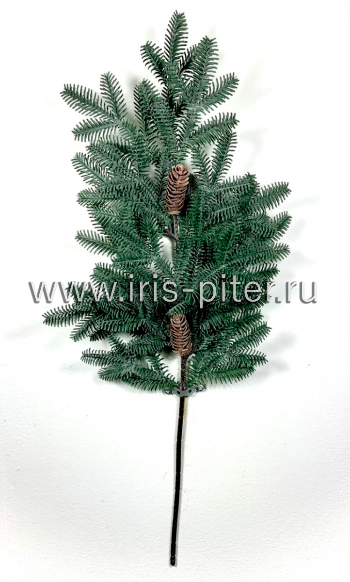 Ветка ели Нобилис с двумя шишками голубая