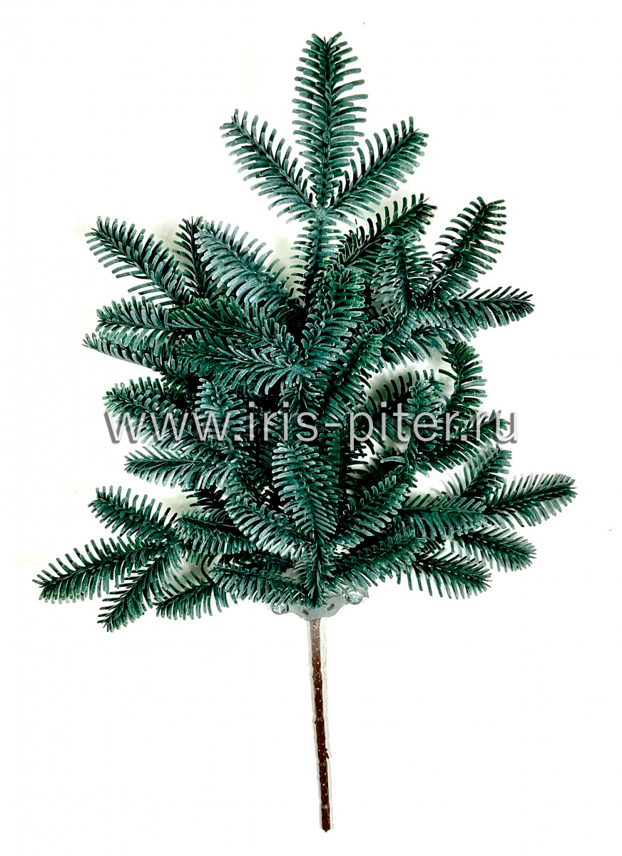 Ветка ели нобилис малая