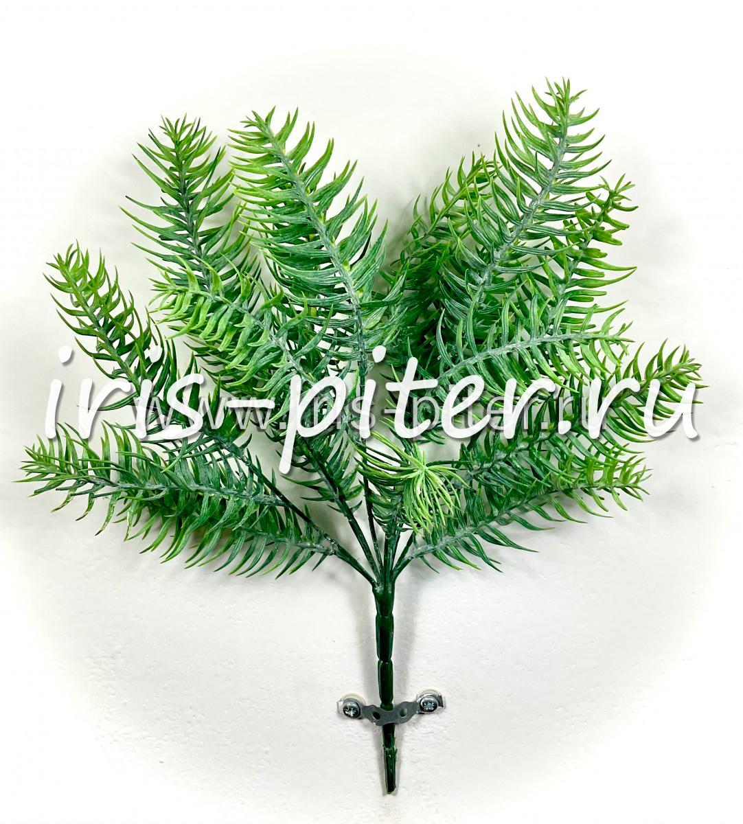 Куст тис с напылением